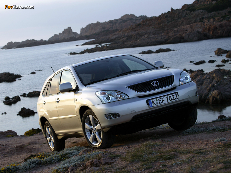 Photos of Lexus RX 300 2003–06 (800 x 600)