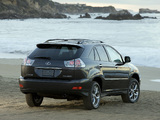 Pictures of Lexus RX 350 Pebble Beach Edition 2008