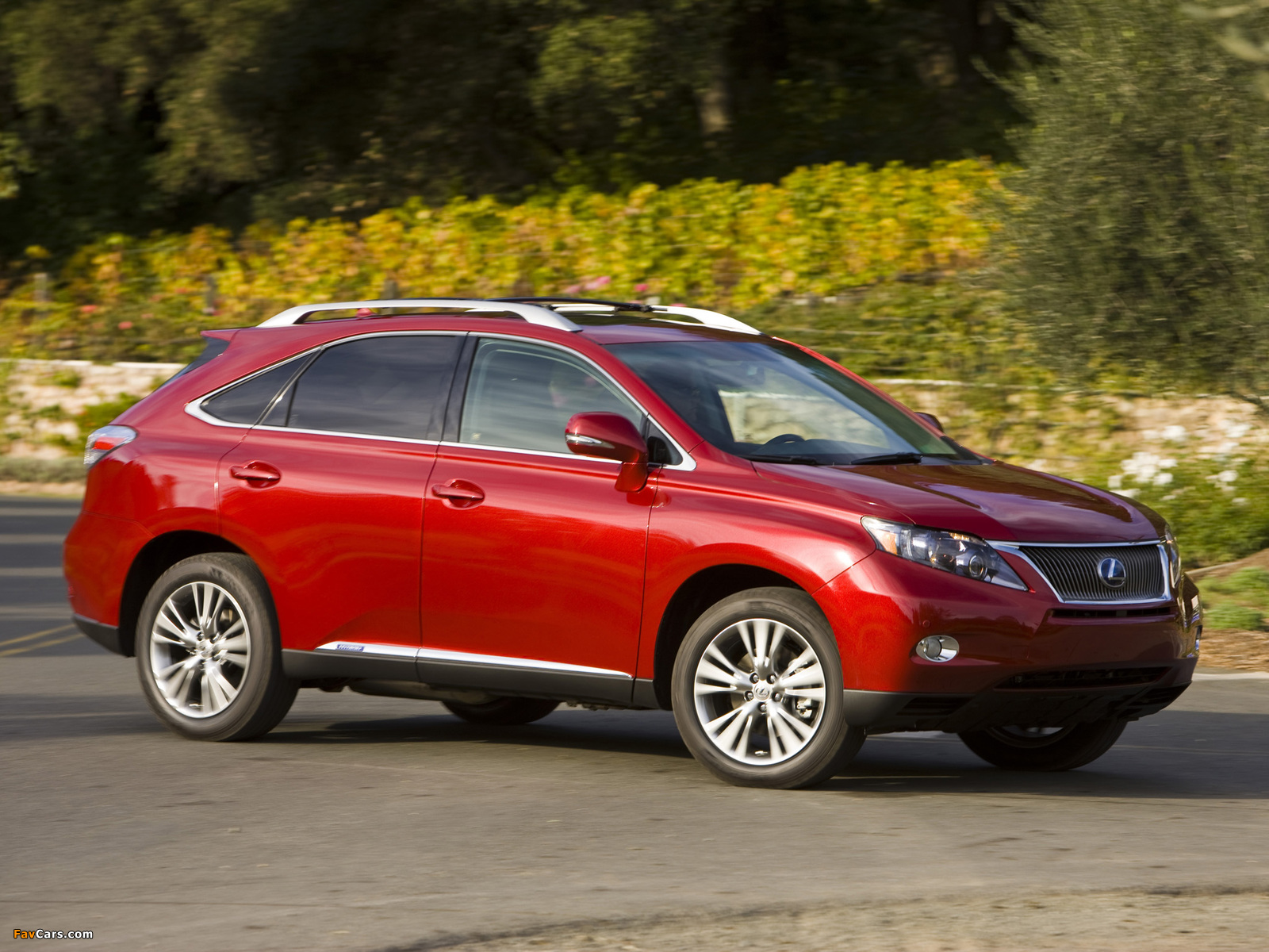 Pictures of Lexus RX 450h 2009–12 (1600 x 1200)