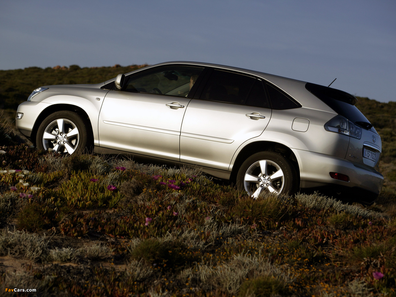 Lexus RX 300 EU-spec 2003–06 wallpapers (1280 x 960)