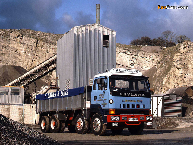 Leyland Constructor 8x4 Tipper images (640 x 480)
