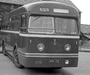 Leyland Olympic HR44 (B44F) 1951– photos