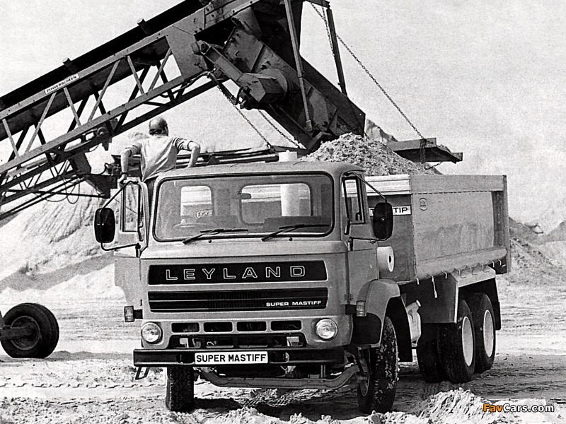 Leyland Super Mastiff Tipper 1968–79 wallpapers (800 x 600)
