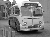 Leyland Tiger Cub PSUC1-2 (C41F) 1958–61 pictures