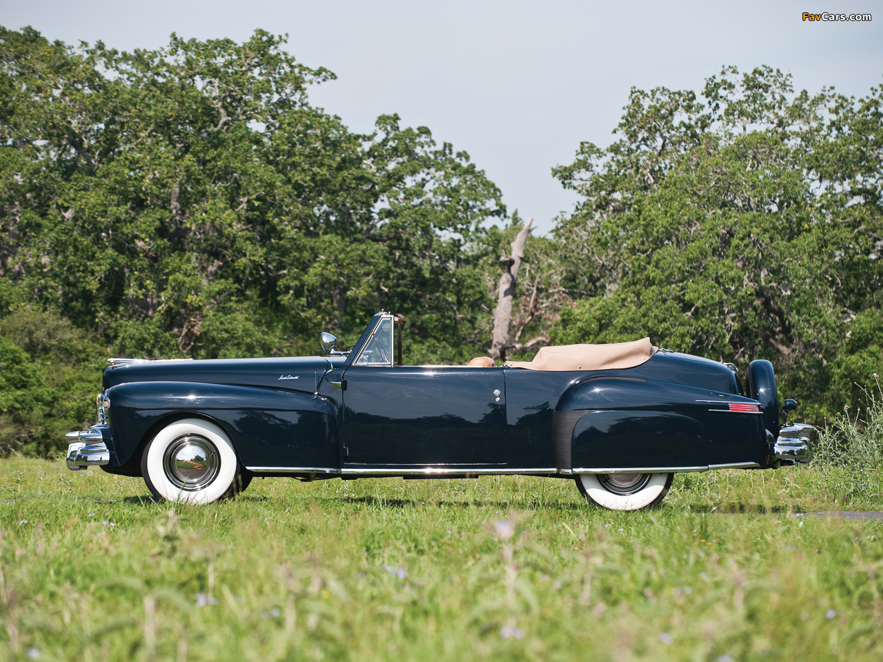 Images of Lincoln Continental Cabriolet 1947–48 (1280 x 960)