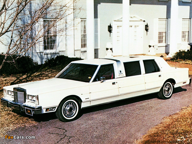 Pictures of Lincoln Silverhawk by Armbruster-Stageway 1982 (640 x 480)