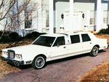 Pictures of Lincoln Silverhawk by Armbruster-Stageway 1982