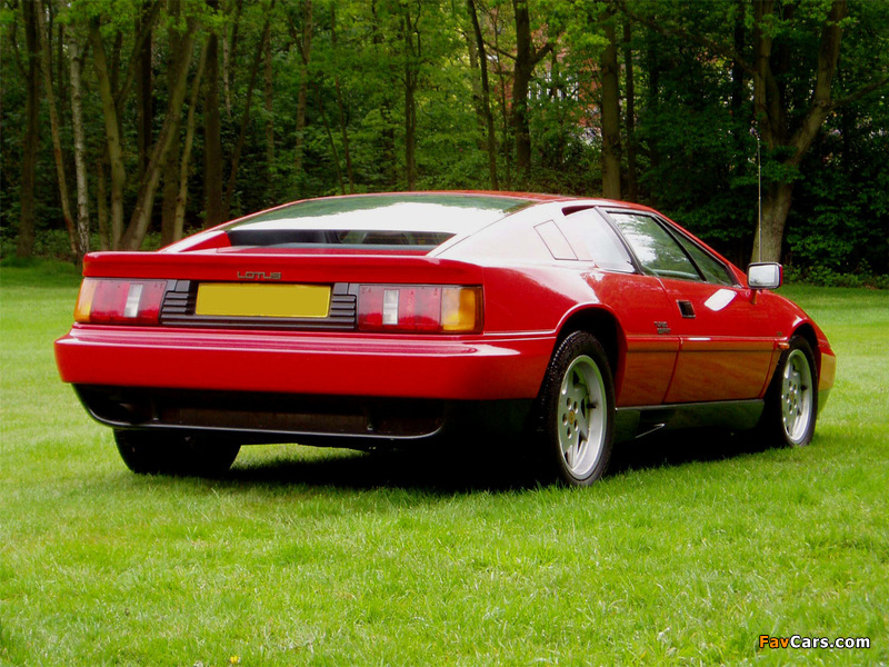 Images of Lotus Esprit Turbo 1987–90 (800 x 600)