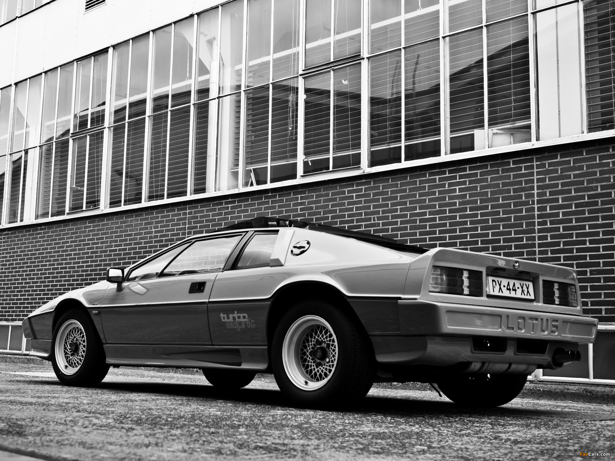 Lotus Turbo Esprit 1981–86 pictures (2048 x 1536)