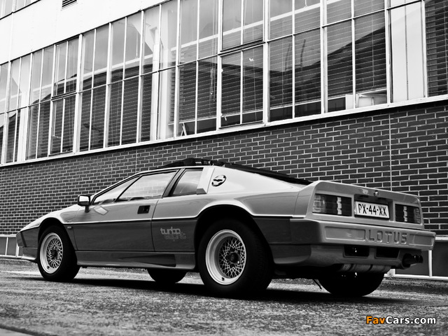 Lotus Turbo Esprit 1981–86 pictures (640 x 480)