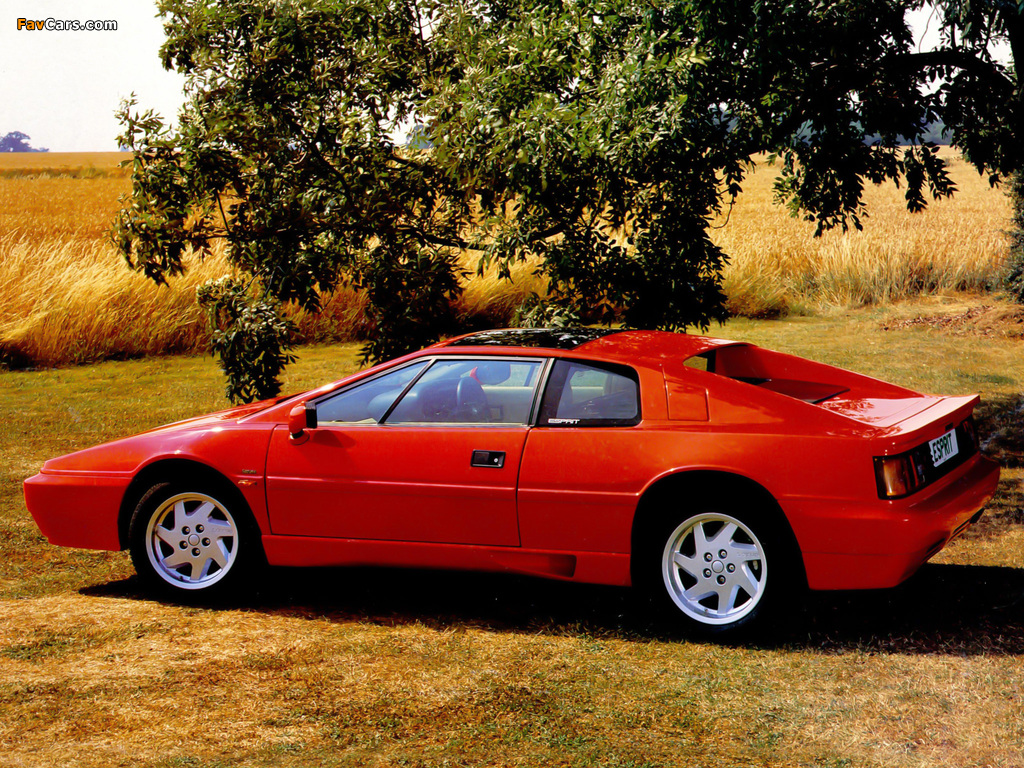 Lotus Esprit 1987–90 pictures (1024 x 768)