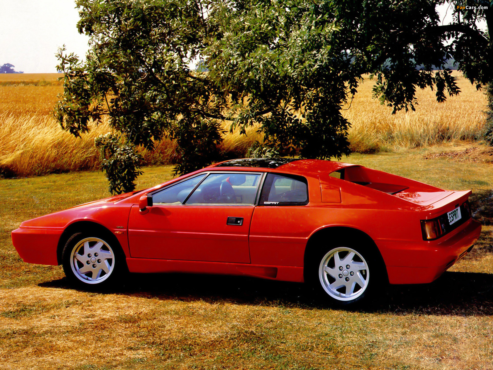 Lotus Esprit 1987–90 pictures (1600 x 1200)