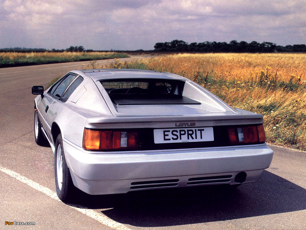 Lotus Esprit SE 1989–93 images (1024 x 768)