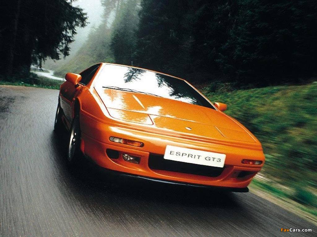 Lotus Esprit GT3 1996–98 images (1024 x 768)