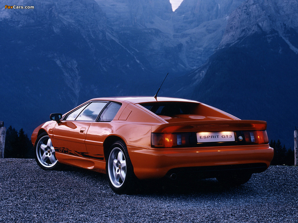 Lotus Esprit GT3 1996–98 photos (1024 x 768)