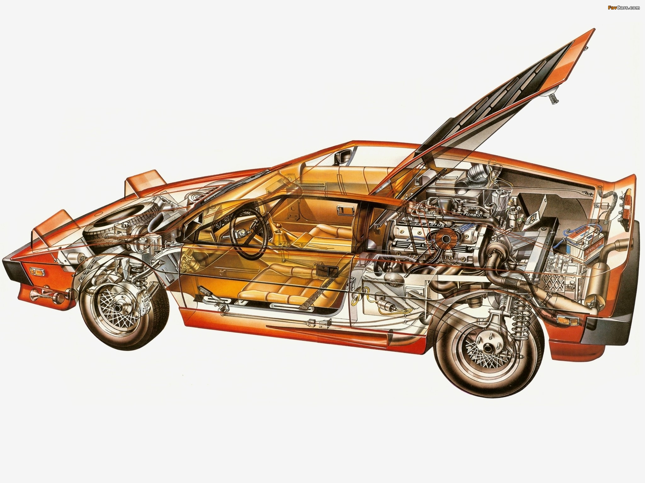 Pictures of Lotus Turbo Esprit 1981–86 (2048 x 1536)