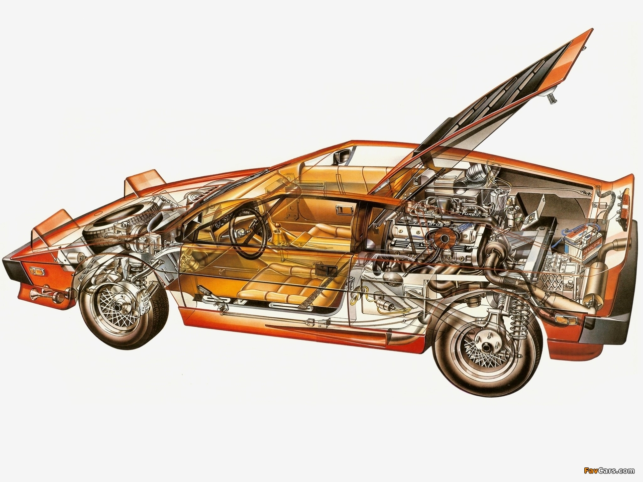 Pictures of Lotus Turbo Esprit 1981–86 (1280 x 960)