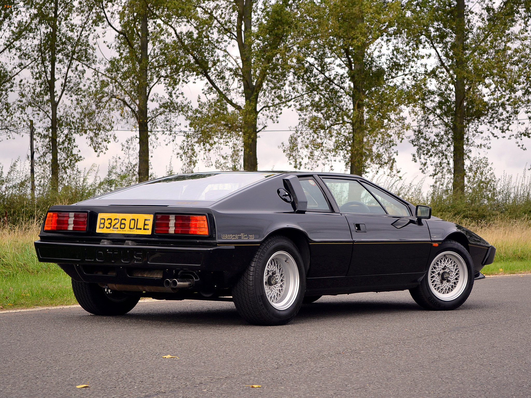 Pictures of Lotus Esprit S3 1981–87 (2048 x 1536)