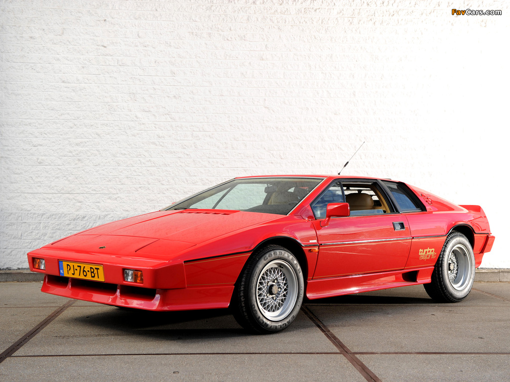 Pictures of Lotus Turbo Esprit 1981–86 (1024 x 768)