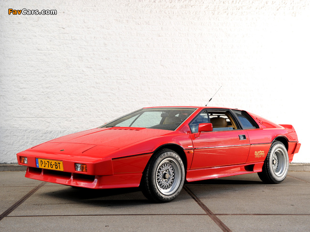 Pictures of Lotus Turbo Esprit 1981–86 (640 x 480)