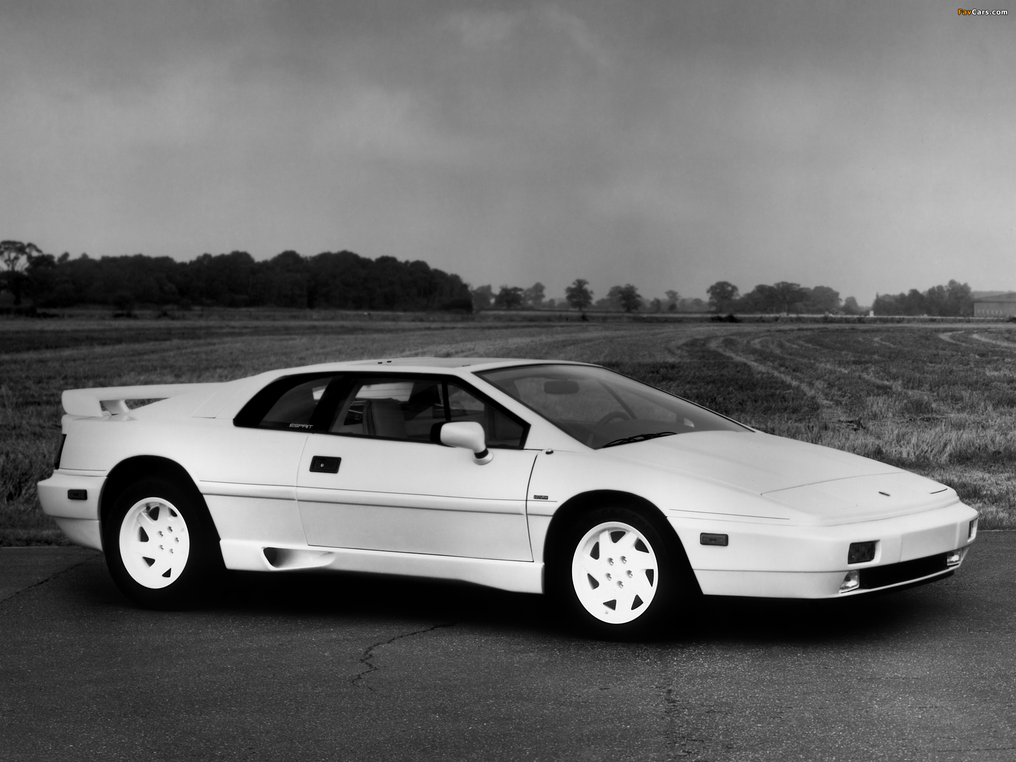 Pictures of Lotus Esprit Turbo 40th Anniversary 1988 (2048 x 1536)