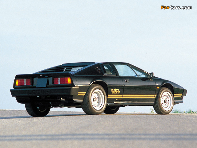 Lotus Turbo Esprit 1981–86 wallpapers (640 x 480)