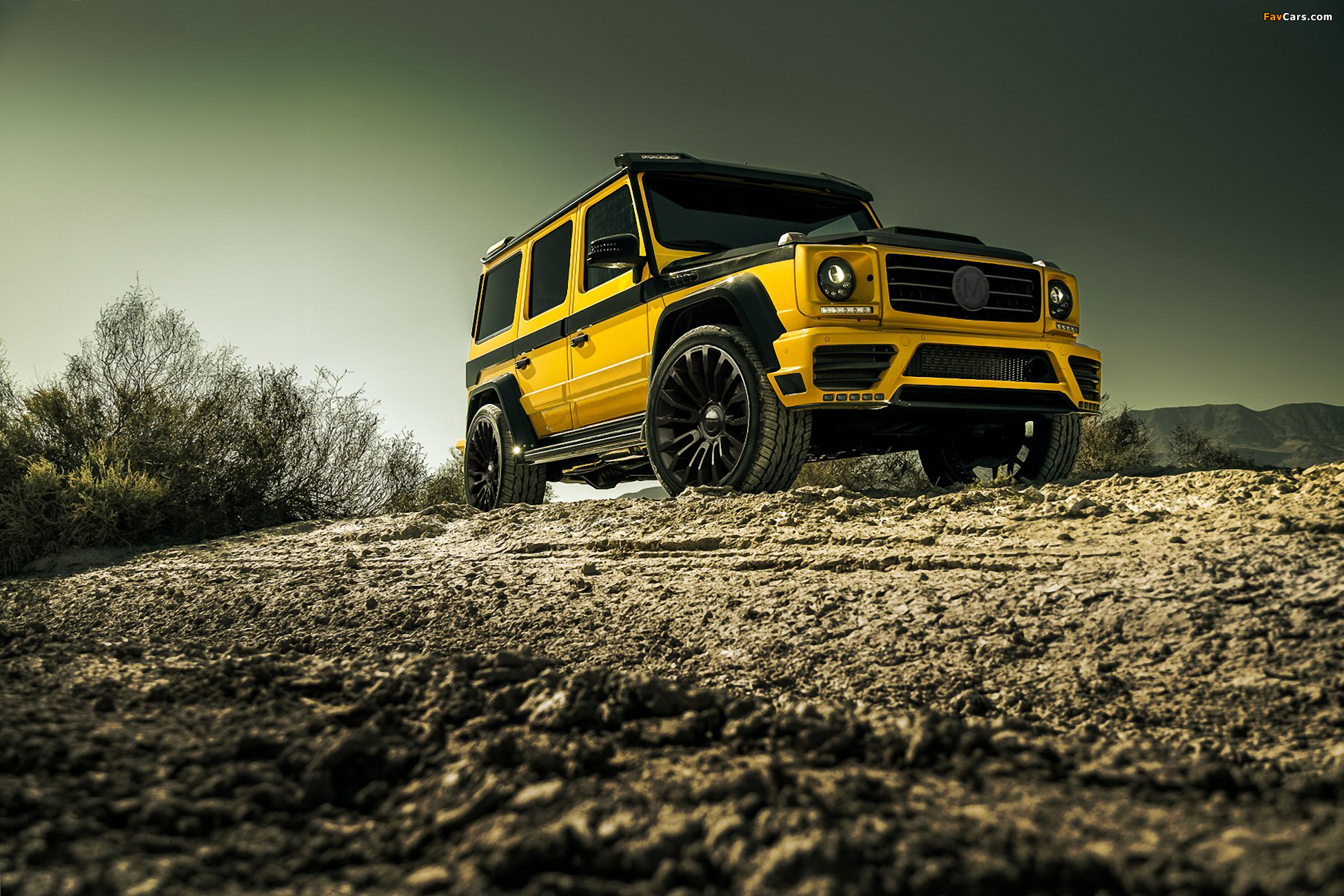 Mansory Mercedes-Benz G-Klasse (W463) 2016 photos (1950 x 1300)