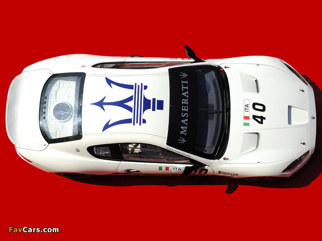 Pictures of Maserati GranTurismo MC GT4 2009 (640 x 480)