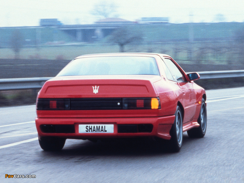 Photos of Maserati Shamal (AM339) 1990–96 (800 x 600)