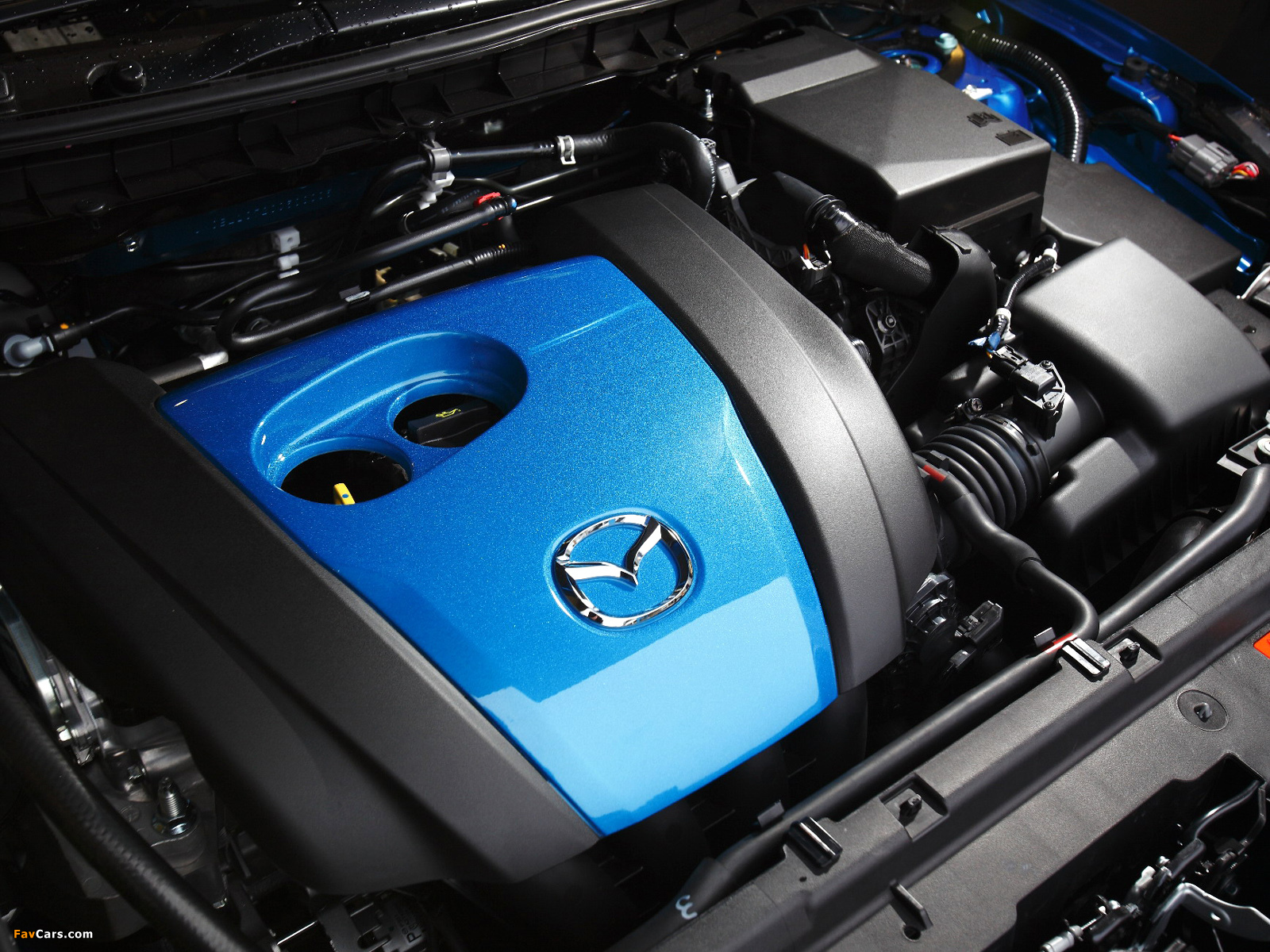 Photos of Mazda3 Hatchback AU-spec (BL2) 2011–13 (1600 x 1200)