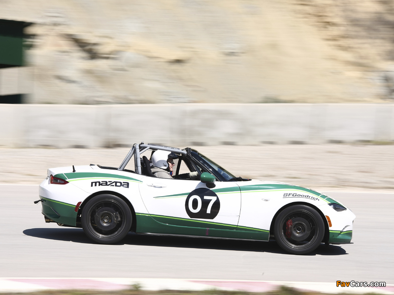 Pictures of Mazda MX-5 Cup (ND) 2015 (800 x 600)