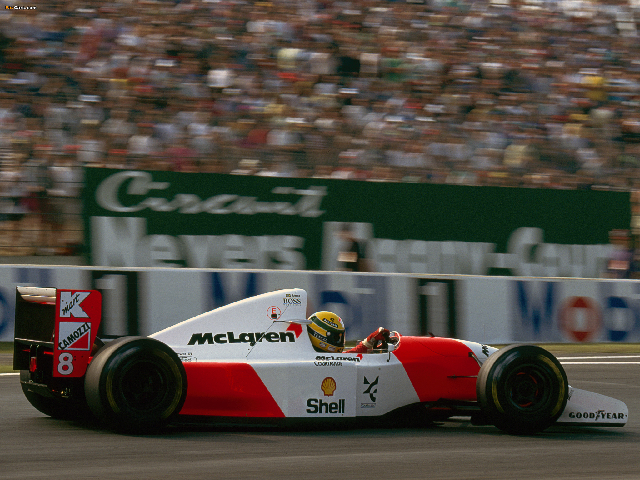 Pictures of McLaren Ford MP4-8 1993 (2048 x 1536)
