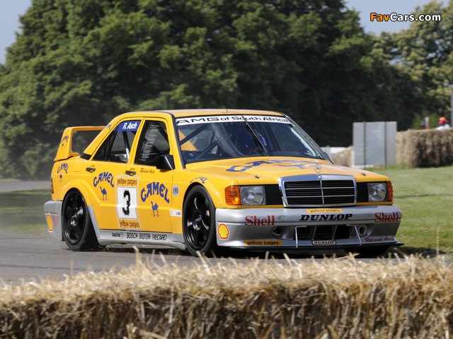 Mercedes-Benz 190 E 2.5-16 Evolution II DTM (W201) 1991–93 wallpapers (640 x 480)