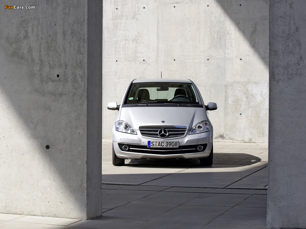 Mercedes-Benz A 170 5-door (W169) 2008 pictures (1024 x 768)