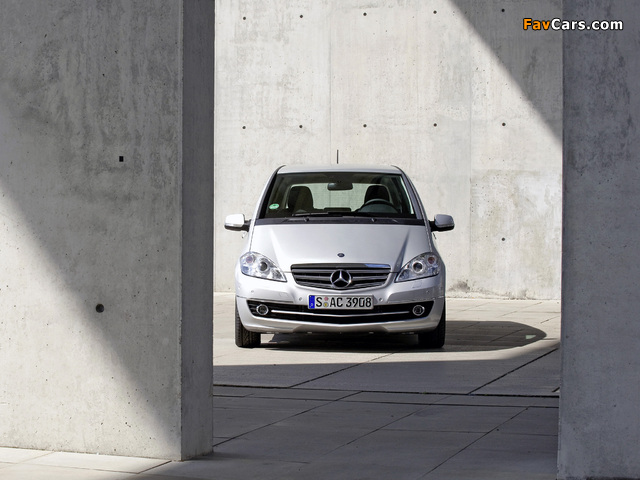 Mercedes-Benz A 170 5-door (W169) 2008 pictures (640 x 480)