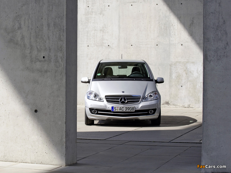 Mercedes-Benz A 170 5-door (W169) 2008 pictures (800 x 600)