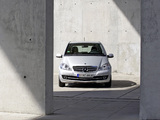 Mercedes-Benz A 170 5-door (W169) 2008 pictures