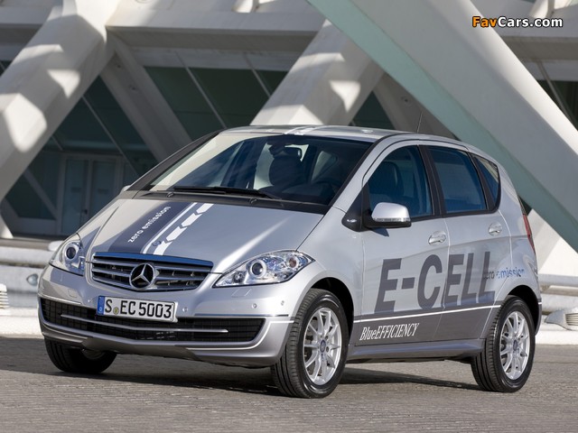 Mercedes-Benz A-Klasse E-Cell (W169) 2010 photos (640 x 480)