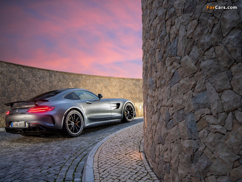 Mercedes-AMG GT R (C190) 2016 pictures (800 x 600)