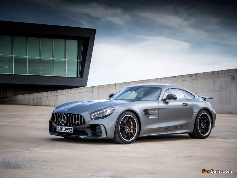 Pictures of Mercedes-AMG GT R (C190) 2016 (800 x 600)