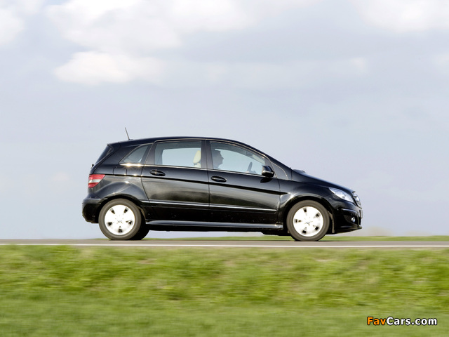 Pictures of Mercedes-Benz B 200 CDI (W245) 2008–11 (640 x 480)