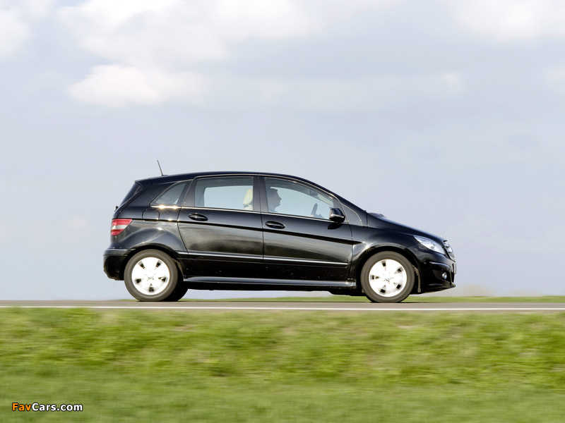 Pictures of Mercedes-Benz B 200 CDI (W245) 2008–11 (800 x 600)