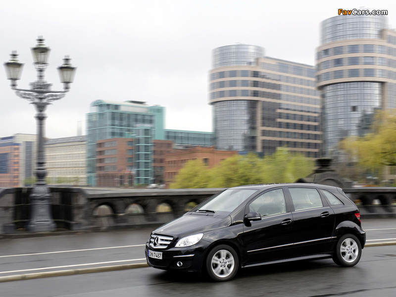 Pictures of Mercedes-Benz B 200 CDI (W245) 2008–11 (800 x 600)