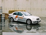 Images of Mercedes-Benz C-Klasse SunDiesel (W203)