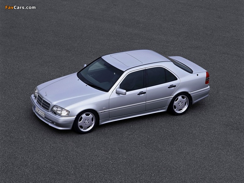 Mercedes-Benz C 36 AMG (W202) 1993–97 photos (800 x 600)