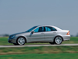Pictures of Mercedes-Benz S 230 (W203) 2005–07