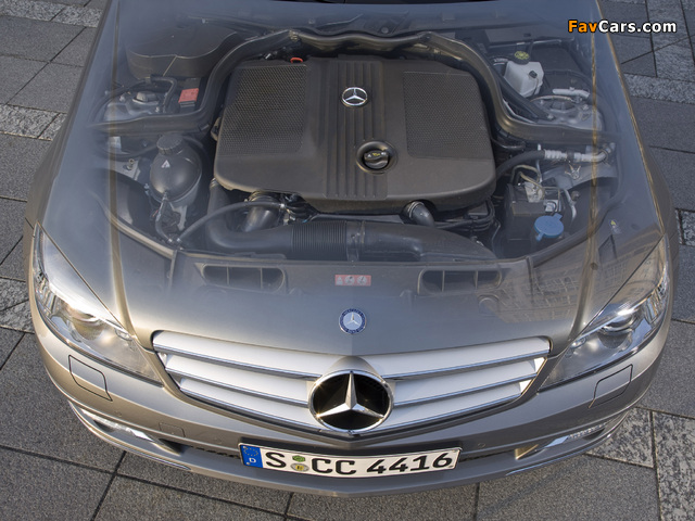 Pictures of Mercedes-Benz C 220 CDI (W204) 2010–11 (640 x 480)