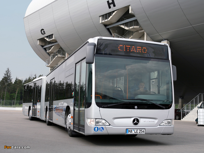 Mercedes-Benz Citaro G (O530) 2006–11 photos (800 x 600)