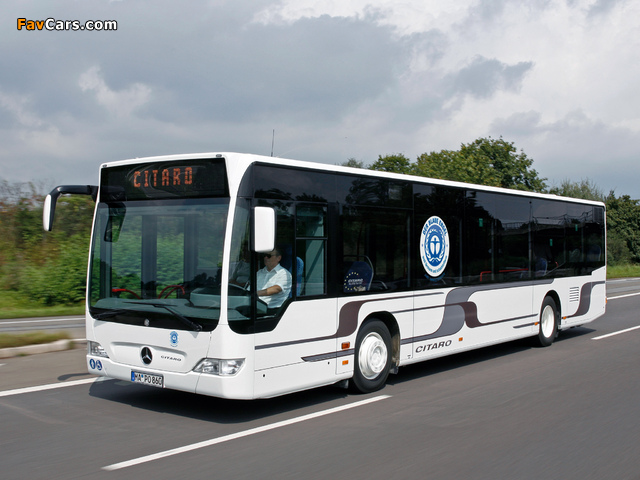 Mercedes-Benz Citaro (O530) 2006–11 wallpapers (640 x 480)