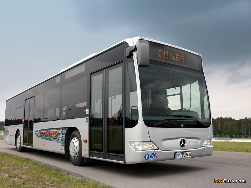 Mercedes-Benz Citaro (O530) 2006–11 wallpapers (800 x 600)